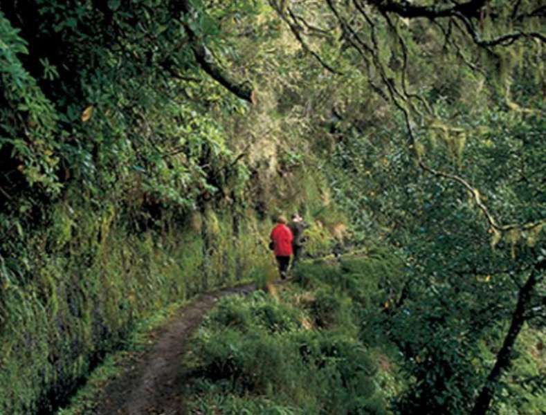 Dorisol Pousada Dos Vinhaticos Serra de Agua Exterior photo
